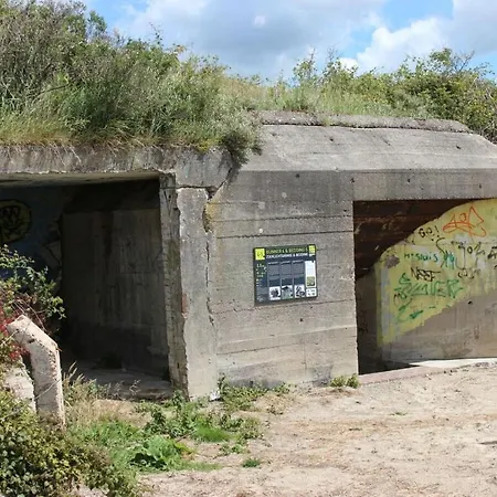 Huijsmansverhuur Type A De Luxe Grevelingen 16 Ferienhaus *